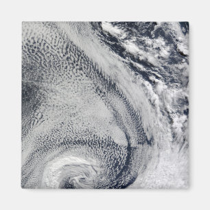 Two S-Shaped Polar Hurricanes Magnet