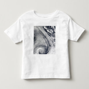 Two S-Shaped Polar Hurricanes Toddler T-shirt