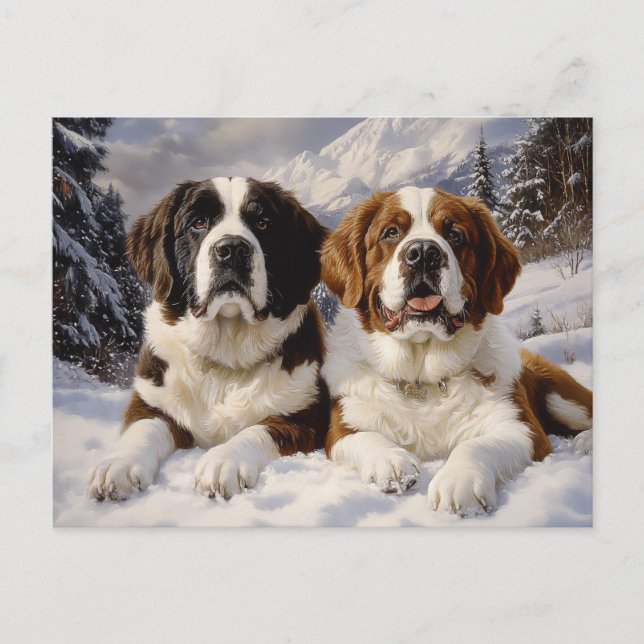 Two Saint Bernards in Snow Postcard (Front)