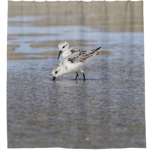 Two Sanderlings (Front)