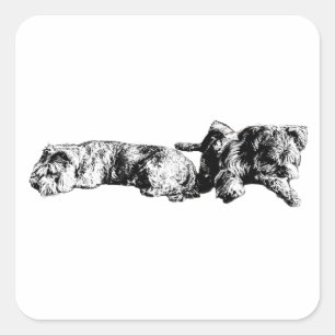 Two Schnauzers – Black & White Dog Sticker
