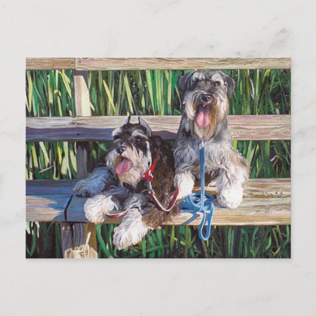 "Two schnauzers on a bench" dog art post cart Postcard (Front)