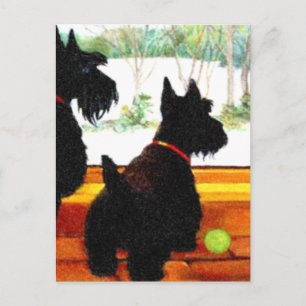 Two Scottie Dogs Waiting for Santa Claus Holiday Postcard