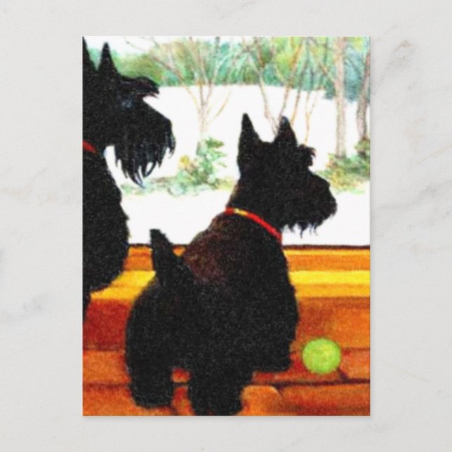 Two Scottie Dogs Waiting for Santa Claus Holiday Postcard (Front)