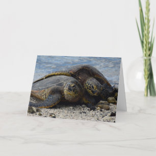 Two Sea Turtles Snuggling on the Sand Card