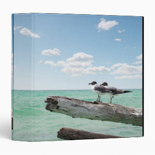Two seagulls sitting on a dead tree sticking out binder