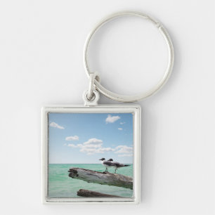 Two seagulls sitting on a dead tree sticking out keychain