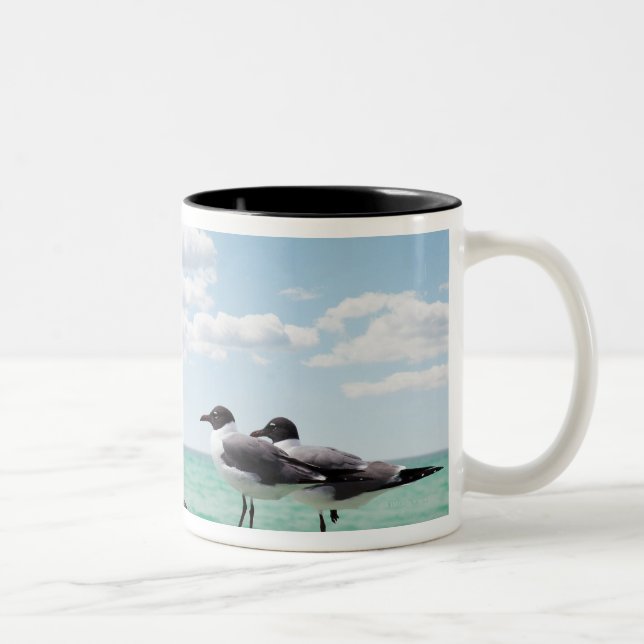 Two seagulls sitting on a dead tree sticking out Two-Tone coffee mug (Right)