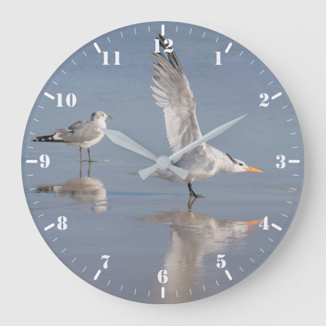 Two seagulls with their reflections large clock (Front)