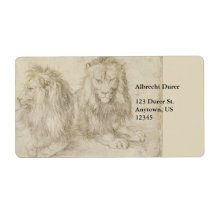 Two Seated Lions by Albrecht Durer