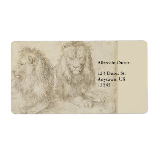 Two Seated Lions by Albrecht Durer