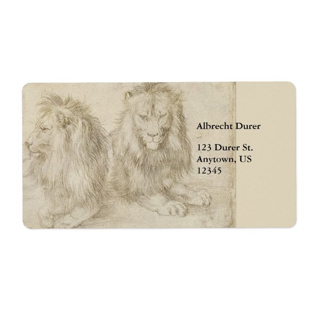Two Seated Lions by Albrecht Durer (Front)