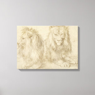 Two Seated Lions (Wild Animals) (Albrecht Durer) Canvas Print