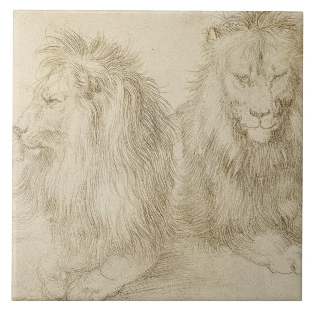 Two Seated Lions (Wild Animals) (Albrecht Durer) Tile (Front)