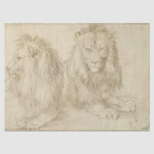 Two Seated Lions (Wild Animals) (Albrecht Durer) Tissue Paper