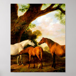 Two Shafto Mares and a Foal by George Stubbs  Poster