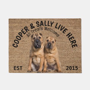 Two Shar Pei Personalized Dog Lover   Doormat
