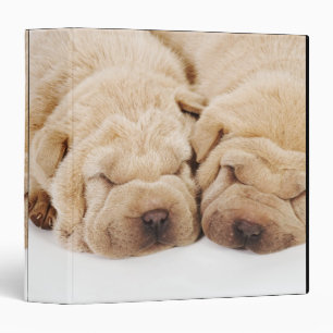 Two Shar Pei puppies sleeping Binder