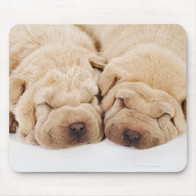 Two Shar Pei puppies sleeping Mouse Pad (Front)