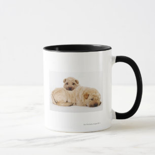 Two Shar Pei puppies sleeping, studio shot Mug