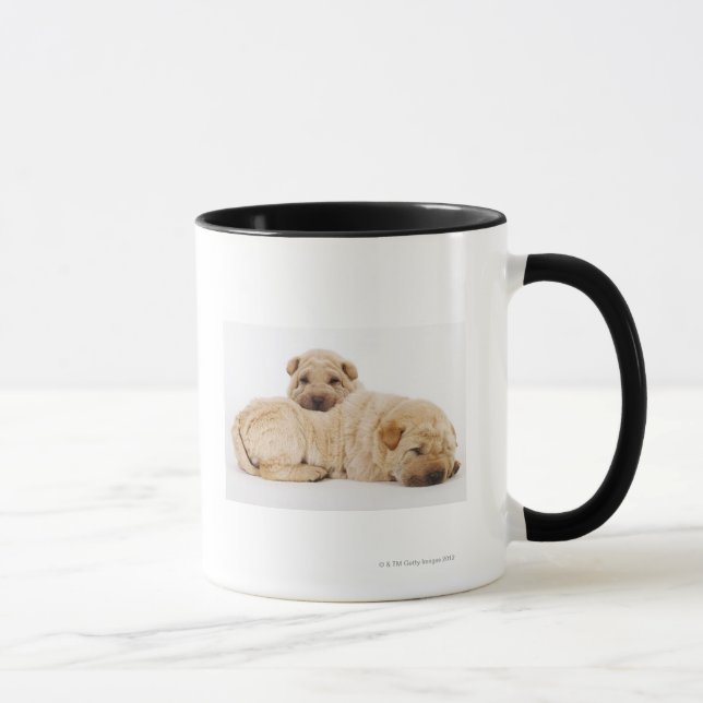Two Shar Pei puppies sleeping, studio shot Mug (Right)