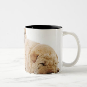 Two Shar Pei puppies sleeping, studio shot Two-Tone Coffee Mug