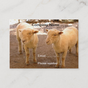 Two Sheep Business Cards