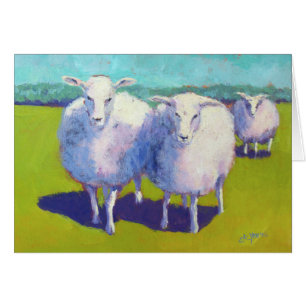 Two Sheep In Field