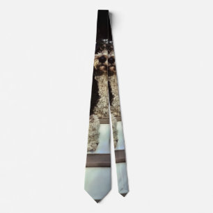 Two Sheepadoodles On Porch Tie