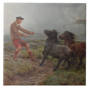 Two Shetland Ponies in a Misty Highland Landscape Tile