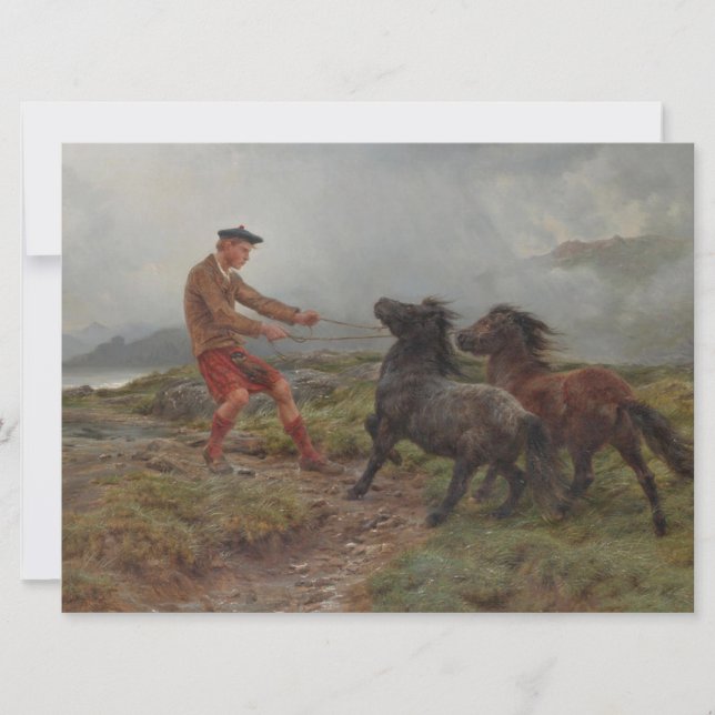 Two Shetland Ponies in a Misty Scottish Landscape Card (Front)