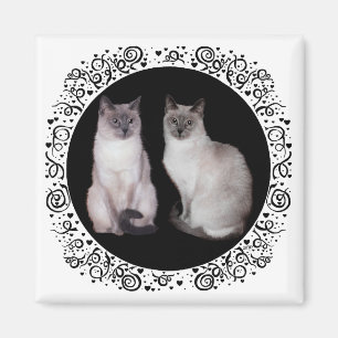 Two Siamese Cats Magnet