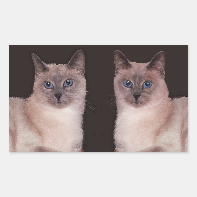 Two Siamese Cats Sticker (Front)