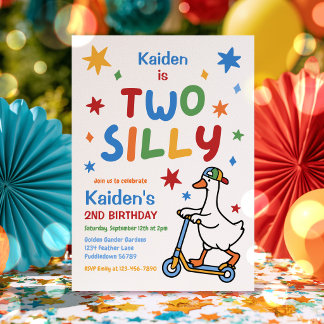 Two Silly Goose Boy Colourful 2nd Birthday Party  Invitation