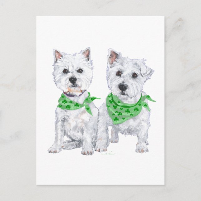 Two Sitting Westies on St Patricks Day Postcard (Front)