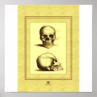 Two Skulls Poster