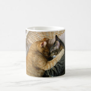 Two Sleeping Tabby Cats Cuddling Coffee Mug