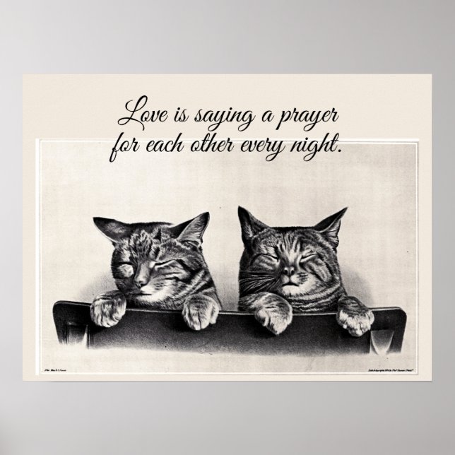 Two Sleepy Cats, Vintage Photo, Love is ... Poster (Front)