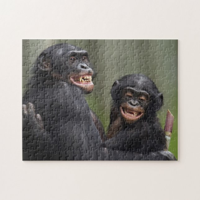 Two Smiling Bonobos Jigsaw Puzzle (Horizontal)
