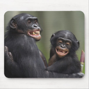 Two Smiling Bonobos Mouse Pad