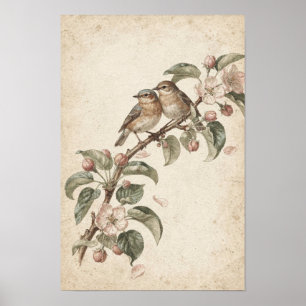 Two Songbirds on Apple Blossoms Botanical Poster