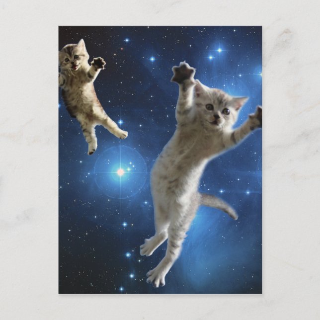 Two Space Cats Floating Around Galaxy Postcard (Front)