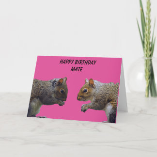 Two Squirrels Happy Birthday Mate Card