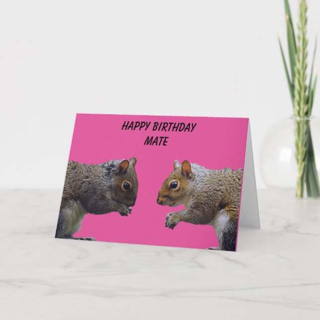Two Squirrels Happy Birthday Mate Card (Front)