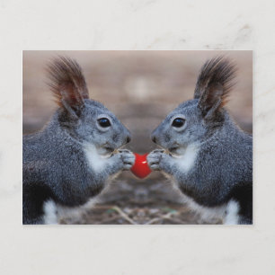 Two squirrels holding a read heart postcard