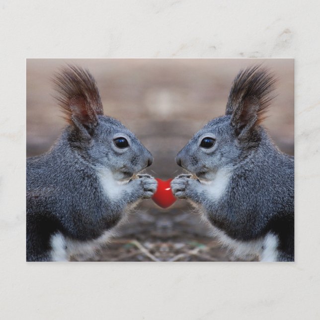 Two squirrels holding a read heart postcard (Front)