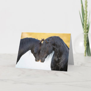 Two Stallion Freinds - Greeting Cards
