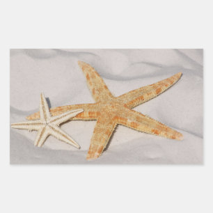 Two Starfish Rectangular Stickers