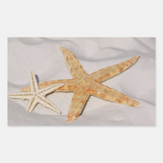 Two Starfish  Rectangular Stickers (Front)