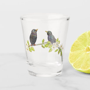Two Starlings on a Blossoming Branch in Spring Shot Glass